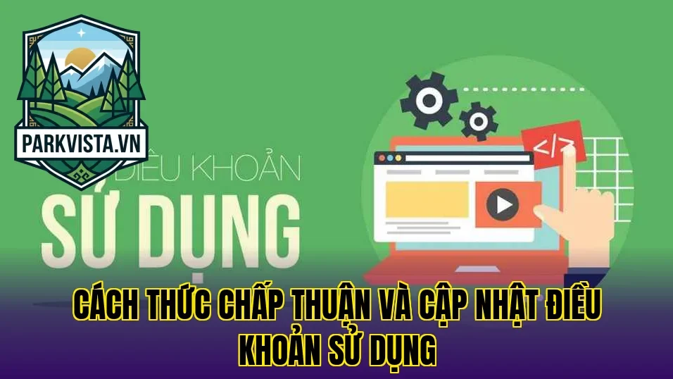 Cách thức chấp thuận và cập nhật điều khoản sử dụng