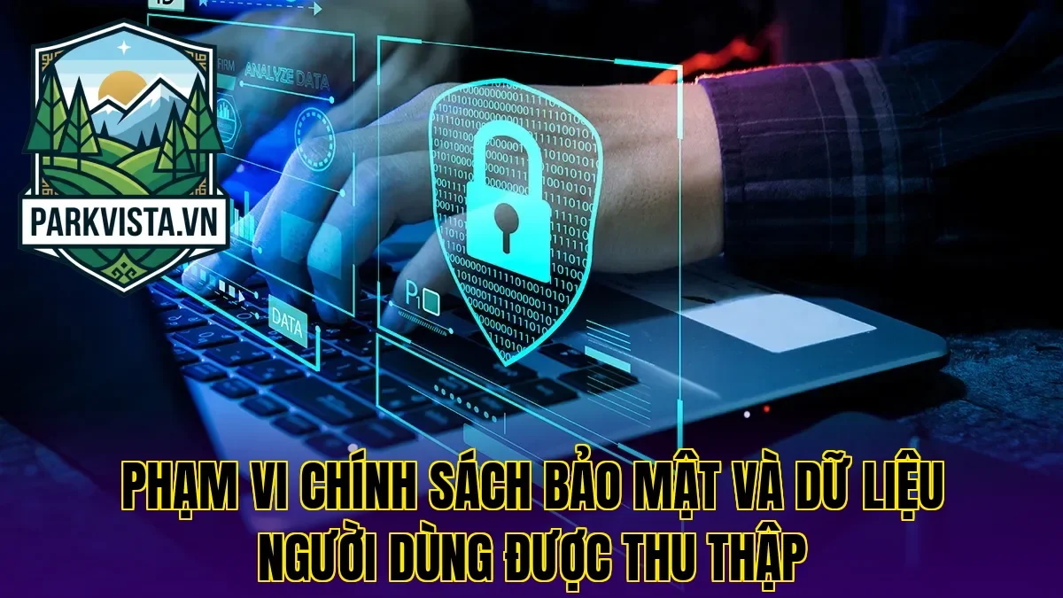 Phạm vi chính sách bảo mật và dữ liệu người dùng được thu thập